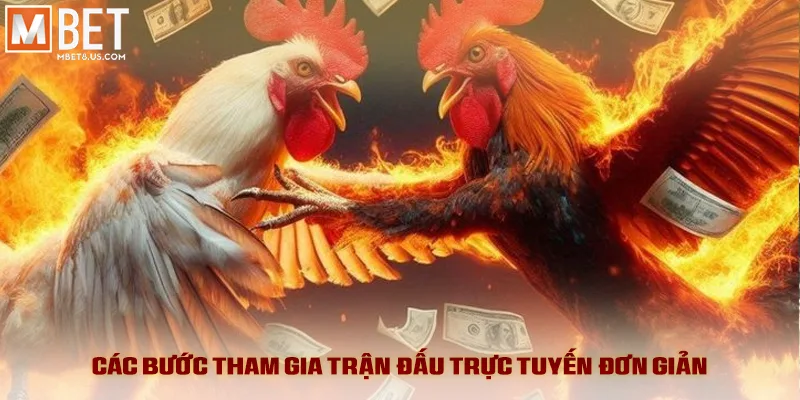 Đá Gà Savan - Kịch Tính Đỉnh Cao Và Tỷ Lệ Ăn Hấp Dẫn 3 Các bước tham gia trận đấu trực tuyến đơn giản