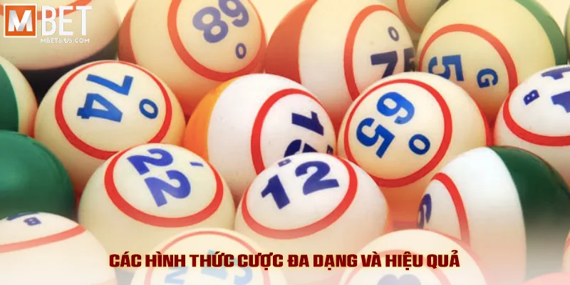 Các hình thức cược đa dạng và hiệu quả