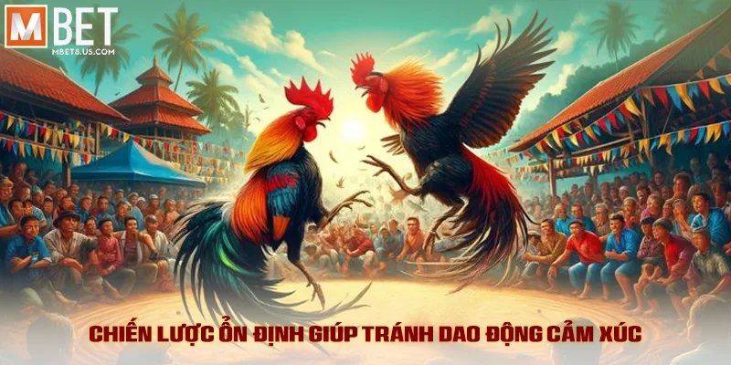 Đá Gà Savan - Kịch Tính Đỉnh Cao Và Tỷ Lệ Ăn Hấp Dẫn 5 Chiến lược ổn định giúp tránh dao động cảm xúc