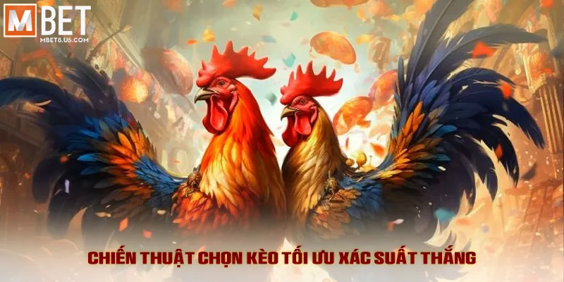 Chiến thuật chọn kèo tối ưu xác suất thắng
