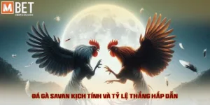 Đá Gà Savan - Kịch Tính Đỉnh Cao Và Tỷ Lệ Ăn Hấp Dẫn