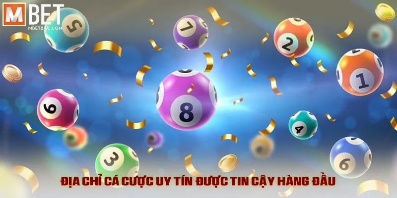 Địa chỉ cá cược uy tín được tin cậy hàng đầu