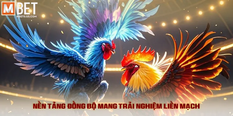 Đá Gà Savan - Kịch Tính Đỉnh Cao Và Tỷ Lệ Ăn Hấp Dẫn 6 Nền tảng đồng bộ mang trải nghiệm liền mạch