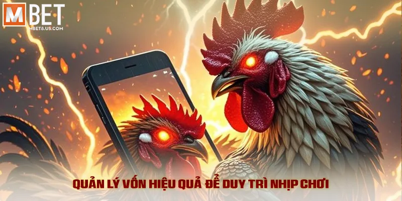 Quản lý vốn hiệu quả để duy trì nhịp chơi