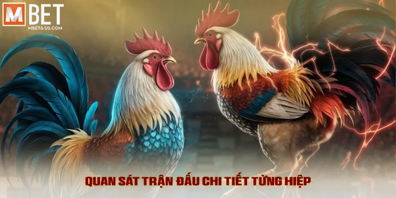 Quan sát trận đấu chi tiết từng hiệp