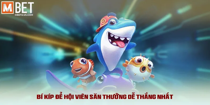 Bí kíp để hội viên săn thưởng dễ thắng nhất