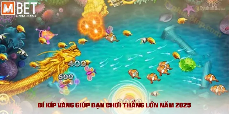 Bí kíp vàng giúp bạn chơi thắng lớn năm 2025