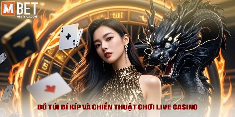 Bỏ túi bí kíp và chiến thuật chơi Live Casino