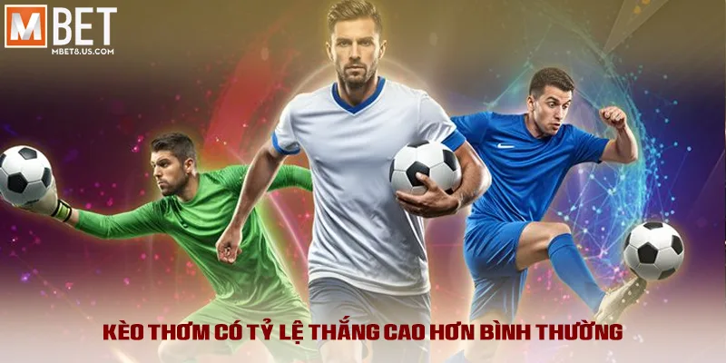 Kèo thơm có tỷ lệ thắng cao hơn bình thường