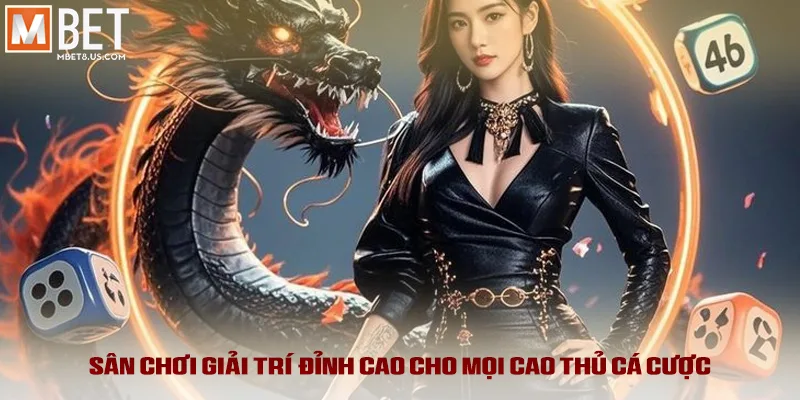 Sân chơi giải trí đỉnh cao cho mọi cao thủ cá cược