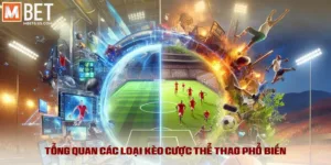 Kèo Nhà Cái 5: Bí Quyết Soi Kèo Chuẩn Từ Chuyên Gia