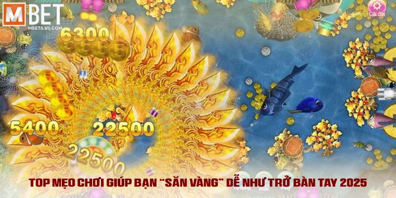 Top mẹo chơi giúp bạn “săn vàng” dễ như trở bàn tay 2025